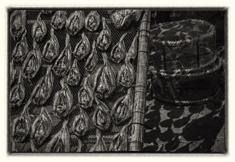 海边物语 - 55A2495